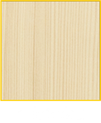 зебра