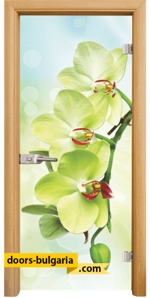 Door thumbnail