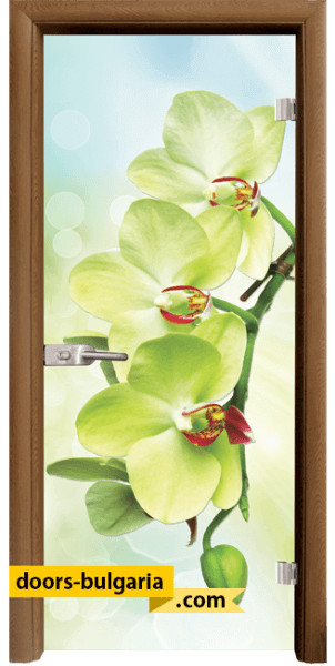 Door thumbnail