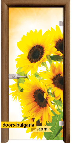 Door image