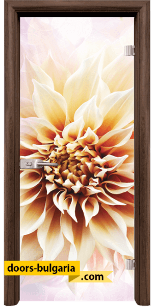 Door thumbnail