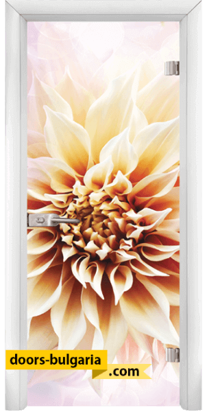 Door thumbnail