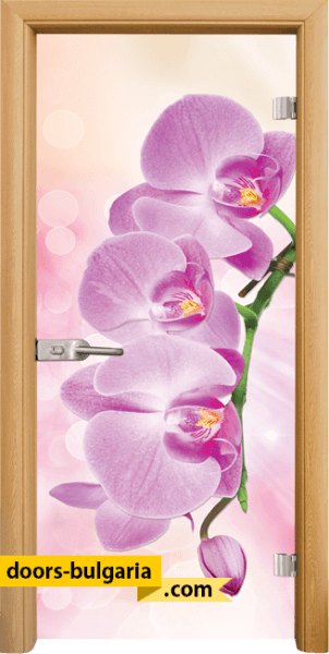 Door thumbnail