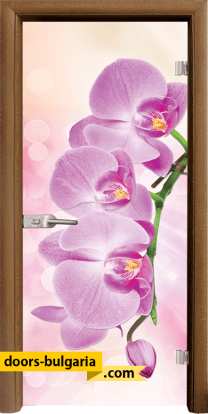 Door thumbnail