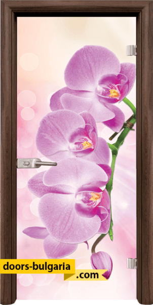 Door thumbnail